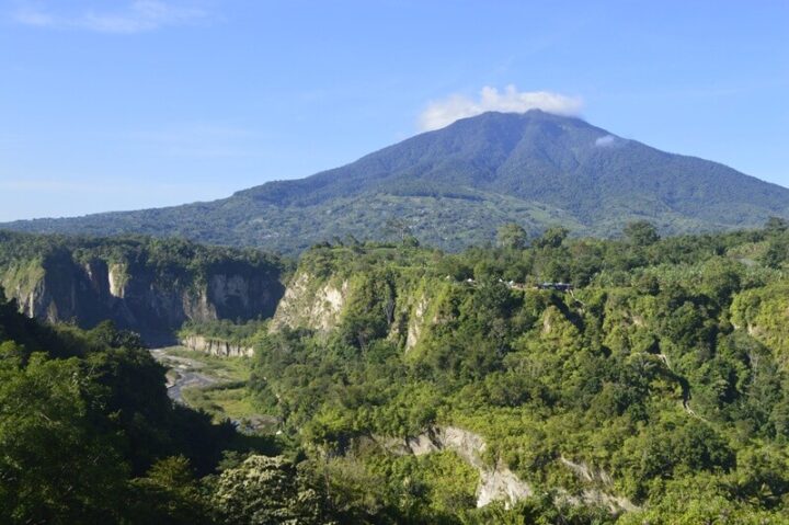 Bocah,Ngarai Sianok,Bukittinggi