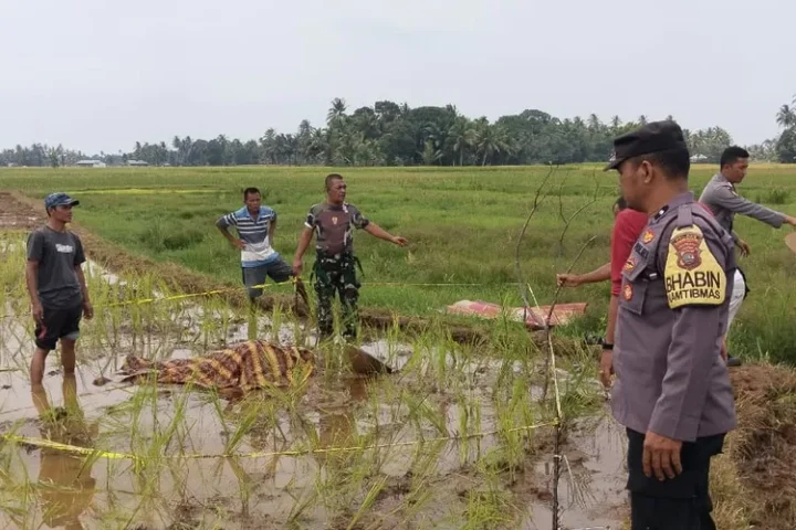 pembunuhan, ibu dan anak, padang pariaman